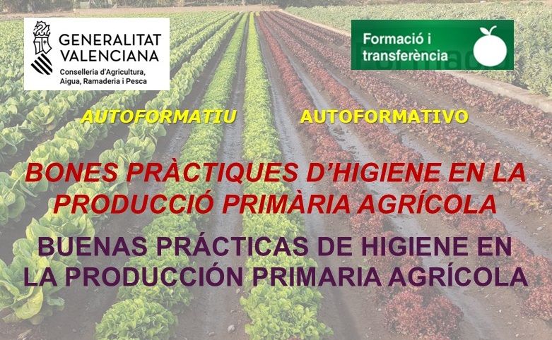  CURSO ONLINE AUTOFORMATIVO: BUENAS PRÁCTICAS DE HIGIENE EN LA PRODUCCIÓN PRIMARIA AGRÍCOLA (Acceso a l curso hasta 15.12.2025)